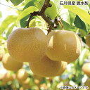 石川県産 豊水梨 送料込み ギフト プレゼント 贈答 お取り寄せ お土産 (レビュー記入で300円OFFクーポン配布中)