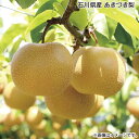 石川県産 あきづき梨 送料込み ギフト プレゼント 贈答 お取り寄せ お土産 (レビュー記入で300円OFFクーポン配布中)