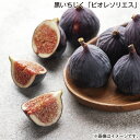 黒いちじく「ビオレソリエス」 送料込み ギフト プレゼント 贈答 お取り寄せ お土産 (レビュー記入で300円OFFクーポン配布中)