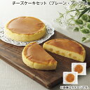 チーズケーキセット(プレーン・アップル) 送料込み ギフト プレゼント 贈答 お取り寄せ お土産 (レビュー記入で300円OFFクーポン配布中)