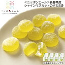 <ニッポンエール>長野県産シャインマスカットのグミ8袋 送料込み ギフト プレゼント 贈答 お取り寄せ お土産 (レビュー記入で300円OFFクーポン配布中)