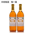 本格梅酒 梅一番 送料込み ギフト プレゼント 贈答 お取り寄せ お土産 (レビュー記入で300円OFFクーポン配布中)