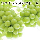 シャインマスカット A B 送料込み ギフト プレゼント 贈答 お取り寄せ お土産 (レビュー記入で300円OFFクーポン配布中)