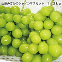 山梨みさかのシャインマスカット 1.3kg 送料込み ギフト プレゼント 贈答 お取り寄せ お土産 (レビュー記入で300円OFFクーポン配布中)