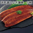 浜名湖うなぎ蒲焼 5枚 3枚 送料込み ギフト プレゼント 贈答 お取り寄せ お土産 (レビュー記入で300円OFFクーポン配布中)