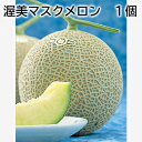 渥美マスクメロン 1個 2個 送料込み ギフト プレゼント 贈答 お取り寄せ お土産 (レビュー記入で300円OFFクーポン配布中)