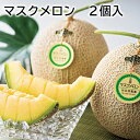 マスクメロン マスクメロン 2個入 ビッグマスクメロン 2個入 送料込み ギフト プレゼント 贈答 お取り寄せ お土産 (レビュー記入で300円OFFクーポン配...