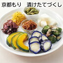 京都もり 漬けたてづくし 涼味菜々 送料込み ギフト プレゼント 贈答 お取り寄せ お土産 (レビュー記入で300円OFFクーポン配布中)