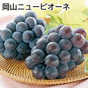 岡山ニューピオーネ 送料込み ギフト プレゼント 贈答 お取り寄せ お土産 (レビュー記入で300円OFFクーポン配布中)