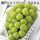 瀬戸ジャイアンツ 700g 送料込み ギフト プレゼント 贈答 お取り寄せ お土産 (レビュー記入で300円OFFクーポン配布中)