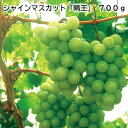 シャインマスカット「晴王」 700g 1kg 送料込み ギフト プレゼント 贈答 お取り寄せ お土産 (レビュー記入で300円OFFクーポン配布中)