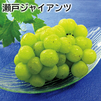 瀬戸ジャイアンツ 送料込み ギフト プレゼント 贈答 お取り寄せ お土産 (レビュー記入で300円OFFクーポン配布中)