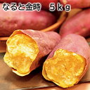 なると金時 5kg 10kg 送料込み ギフト プレゼント 贈答 お取り寄せ お土産 (レビュー記入で300円OFFクーポン配布中)