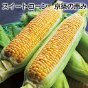 スイートコーン 京築の恵み 送料込み ギフト プレゼント 贈答 お取り寄せ お土産 (レビュー記入で300円OFFクーポン配布中)