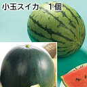 小玉スイカ 1個 2個 送料込み ギフト プレゼント 贈答 お取り寄せ お土産 (レビュー記入で300円OFFクーポン配布中)