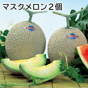 マスクメロン2個 送料込み ギフト プレゼント 贈答 お取り寄せ お土産 (レビュー記入で300円OFFクーポン配布中)