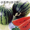 小玉すいか2個 送料込み ギフト プレゼント 贈答 お取り寄せ お土産 (レビュー記入で300円OFFクーポン配布中)