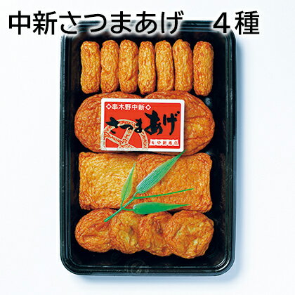 中新さつまあげ 4種 5種 送料込み ギフト プレゼント 贈答 お取り寄せ お土産 (レビュー記入で300円OFFクーポン配布中)