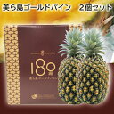 美ら島ゴールドパイン 2個セット 3個セット 送料込み ギフト プレゼント 贈答 お取り寄せ お土産 (レビュー記入で300円OFFクーポン配布中)