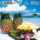 石垣島産パイン 4.5kg 7kg 送料込み ギフト プレゼント 贈答 お取り寄せ お土産 (レビュー記入で300円OFFクーポン配布中)