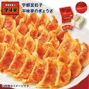 父の日 宇都宮餃子 宇味家のぎょうざ 送料込み ギフト プレゼント 贈答 お取り寄せ お土産 (レビュー記入で300円OFFクーポン配布中)