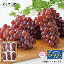父の日 デラウェア 送料込み ギフト プレゼント 贈答 お取り寄せ お土産 (レビュー記入で300円OFFクーポン配布中)