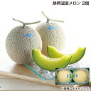 お中元 早割期間中! 静岡温室メロン 2個 大玉 御中元 夏ギフト ギフト 贈答 送料込み お取り寄せ お土産 (レビュー記入で300円OFFクーポン配布中)