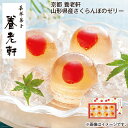 お中元 京都 養老軒 山形県産さくらんぼのゼリー 御中元 夏ギフト ギフト 贈答 送料込み お取り寄せ お土産 (レビュー記入で300円OFFクーポン配布中)