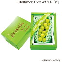 お中元 山梨県産シャインマスカット「匠」 御中元 夏ギフト ギフト 贈答 送料込み お取り寄せ お土産 (レビュー記入で300円OFFクーポン配布中)