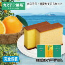 早割期間中!【通常価格2,930円⇒2,780円】お中元 早割期間中 カステラ銀装 カステラ・甘夏かすてらセット 御中元 夏ギフト ギフト 贈答 プレゼント 送...