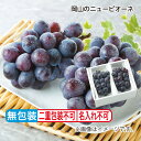 お中元 岡山県産 ニューピオーネ 1kg 御中元 夏ギフト ギフト 贈答 プレゼント 送料込み お取り寄せ (レビュー記入で300円OFFクーポン配布中)