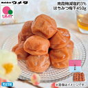 お中元 南高梅減塩約3%はちみつ梅干 450g 700g 御中元 夏ギフト ギフト 贈答 送料込み お取り寄せ お土産 (レビュー記入で300円OFFクーポン配...