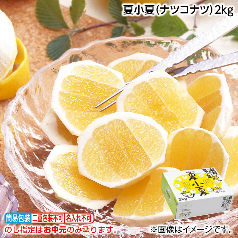 お中元 夏小夏（ナツコナツ） 2kg 3kg 御中元 夏ギフト ギフト 贈答 送料込み お取り寄せ お土産 (レビュー記入で300円OFFクーポン配布中)