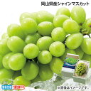 お中元 岡山県産シャインマスカット 御中元 夏ギフト ギフト 贈答 送料込み お取り寄せ お土産 (レビュー記入で300円OFFクーポン配布中)