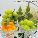 お中元 ふらのメロンとシャインマスカット 御中元 夏ギフト ギフト 贈答 送料込み お取り寄せ お土産 (レビュー記入で300円OFFクーポン配布中)