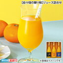 お中元 【段々畑の贈り物】ジュース詰合せ 御中元 夏ギフト ギフト 贈答 送料込み お取り寄せ お土産 (レビュー記入で300円OFFクーポン配布中)