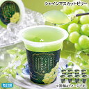 お中元 シャインマスカットゼリー 御中元 夏ギフト ギフト 贈答 送料込み お取り寄せ お土産 (レビュー記入で300円OFFクーポン配布中)