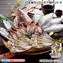 お中元 日本海のとれとれ干物セット A B 御中元 夏ギフト ギフト 贈答 送料込み お取り寄せ お土産 (レビュー記入で300円OFFクーポン配布中)