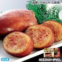 お中元 函館いかめし A(化粧箱) B(化粧箱) 御中元 夏ギフト ギフト 贈答 送料込み お取り寄せ お土産 (レビュー記入で300円OFFクーポン配布中)
