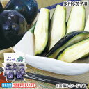 お中元 泉州水茄子漬 御中元 夏ギフト ギフト 贈答 送料込み お取り寄せ お土産 (レビュー記入で300円OFFクーポン配布中)