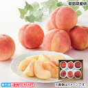 お中元 福島県産桃 御中元 夏ギフト ギフト 贈答 送料込み お取り寄せ お土産 (レビュー記入で300円OFFクーポン配布中)