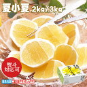 お中元 夏小夏(ナツコナツ) 2kg 3kg 御中元 夏ギフト ギフト 贈答 送料込み お取り寄せ お土産 (レビュー記入で300円OFFクーポン配布中)