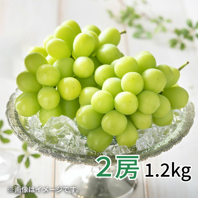 シャインマスカット 2房(1.2kg) 3房(1.6kg) 送料込み ギフト プレゼント 贈答 お取り寄せ お土産 (レビュー記入で300円OFFクーポン配布中)（楽天・郵便局物販サービス）
