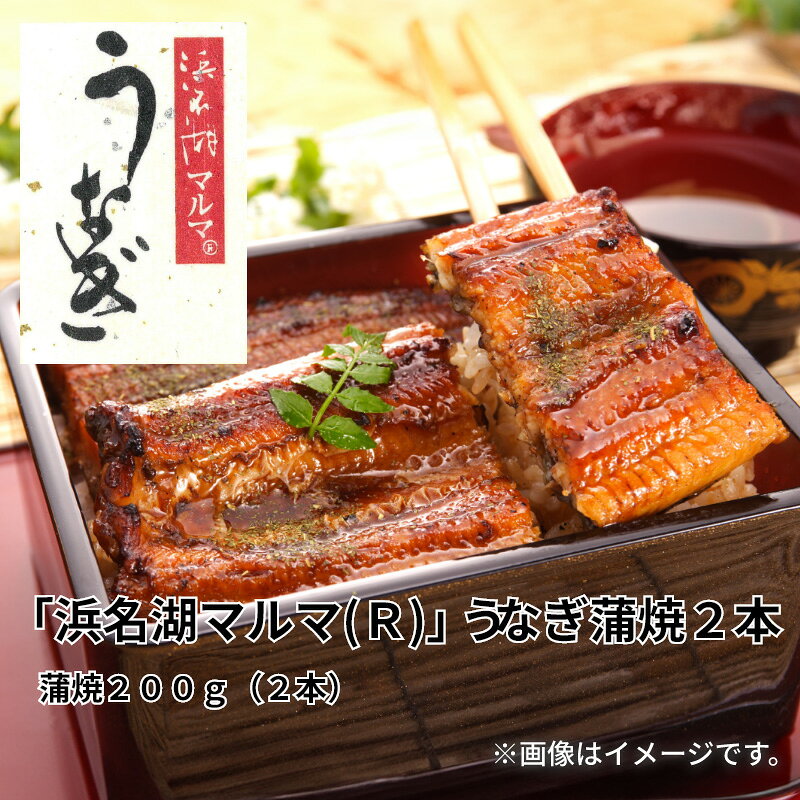 「浜名湖マルマ（R）」うなぎ蒲焼2本 送料込み ギフト プレゼント 贈答 お取り寄せ お土産 (レビュー記入で300円OFFクーポン配布中)