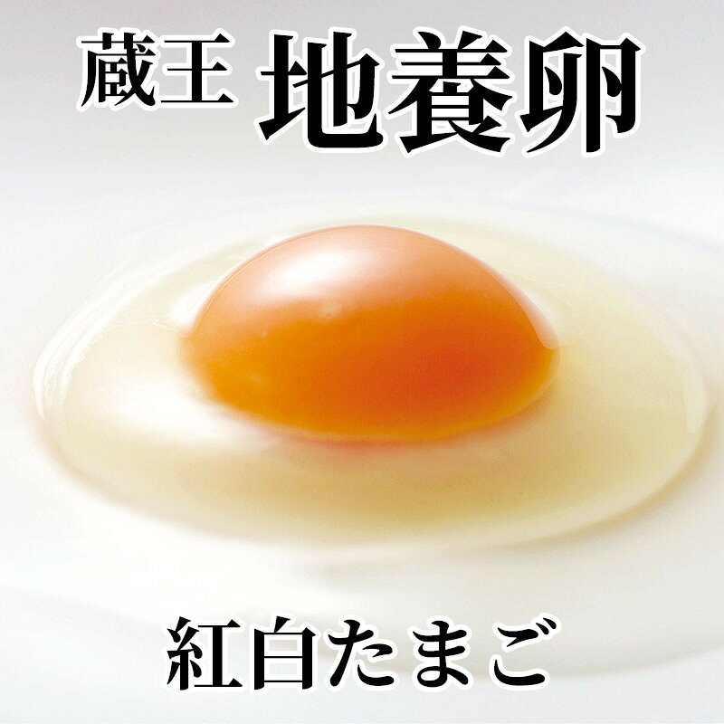蔵王地養卵　紅白たまご 送料込み ギフト プレゼント 贈答 お取り寄せ お土産 (レビュー記入で300円OFFクーポン配布…