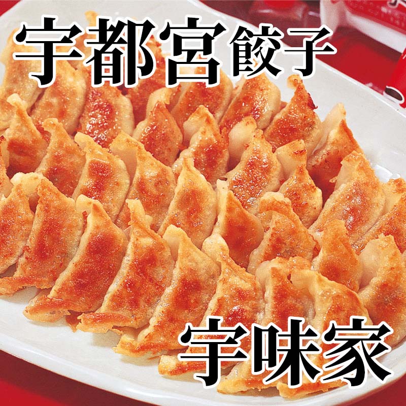 宇都宮餃子　宇味家 送料込み ギフト プレゼント 贈答 お取り寄せ お土産 (レビュー記入で300円OFFクーポン配布中)