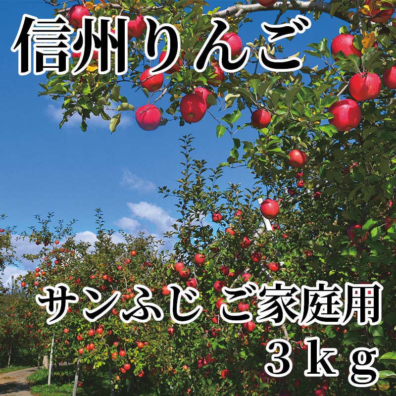 信州の青空のもと、サンふじは太陽の光をいっぱい浴び自然の風雨にさらされて育ちます。そのため表皮が多少荒れますが、りんご本来の豊潤なコクのある味になります。【商品提供者コメント】 ●名称／りんご ●商品内容／3kg（6〜14個） ●原産地／長野県　 ●原材料／●保存方法／●製造者名(加工業者名)／ 【キャンセルについて】 ●お申し込み後のキャンセルは、原則受け付けておりません。 【配送について】 ●こちらの商品は11月25日(水)〜2月15日(月)の期間内に順次お届けいたします。 また、常温便でのお届けとなります。あらかじめご了承下さい。 ※農産物、水産物等については天候、作柄状況により、商品のお届けが前後する場合がございます。あらかじめご了承ください。 ●年内お届けのご希望は、2026年12月15日（火）までにお申込みください。12月16日（水）以降は年内にお届けできない場合があります。 なお、年始の発送は2027年1月6日（水）からとなります。 ●お届けまでに祝日・大型連休・年末年始等をはさむ場合、お届けに日数がかかることがございます。あらかじめご了承ください。 ●お受け取り頂けない商品につきましては、再発送、ご返金、ポイントの返還は致しかねます。あらかじめご了承下さい。 【のし・について】 ●一部の商品はのしのご希望を承ります。 ※選択肢にないのしの種類はお選びいただけません。 ※名入れはお受けできません。 ※商品によっては「短冊のし」や「簡易のしシール」でお届けとなる場合がございます。 ※ゆうパケットでお届けする商品にはご指定できません。 ●「御歳暮のし」をご指定いただきました商品は、配達希望日のご指定がない場合は2026年12月1日（火）以降順次お届けいたします。 ※青果物等、配達期間限定の商品は「御歳暮のし」をご指定いただいても、12月1日（火）以前にお届けする場合がありますので、あらかじめご了承ください。 【配達不可地域について】 ●島しょ（東京都・鹿児島県・沖縄県）の一部へのお届けについては、生もの（消費・賞味期間5日以内）・生鮮品 （果物・野菜・活魚介類）の一部・冷凍品・生花（セット商品を含む）は受付ができませんのでご了承ください。 【その他ご注意】 ※表示価格（商品代金）には送料・消費税が含まれています。 ※商品画像はイメージです。「商品内容」として記載されていないものや「小道具類」はお届けする商品に含まれておりませんので、商品内容をお確かめの上、お申込みください。 ※消費・賞味期間5日以内の商品をお申込みの場合は、お届けが消費・賞味期限の最終日になることがありますのでご了承ください。 ※青果物のサイズ指定はできません。天候によりお届け期間が変更になる場合がございます。果物については種が入る場合もあります。 ※「消費期間」は製造(加工)日から安全に召し上がれる日まで、「賞味期間」は製造(加工)日から品質の保持が十分に可能な日までをそれぞれ期間で表示しています。お届け日からの期間を保証するものではありません。 ※複数の商品がセットになっている場合、最も短い期間を表示しています。なお、法律に基づく賞味（消費）期限については、各お届け商品に記載しています。 ※花卉・花弁の開花状態及び花色、リボン、ラッピング(包装)等は多少異なる場合があります。 ※商品のパッケージ・小物のデザインは変更になる場合があります。 ※複数商品の一括送付及び同時発送はできません。また、ご依頼主様とお届け先様が同じ場合、同日のお申込みであっても商品によりお届け日が異なる場合がございますので、あらかじめご了承ください。 ※天候や生育状況等により予定の時期よりもお届けが前後することがございます。その際は、早着・ 遅延のご案内、代替商品又は解約等のご案内をさせていただく場合がございます。 【季節の贈り物に】 お年賀 迎春 お正月 年末年始 バレンタイン ホワイトデー 卒業式 卒園式 入学式 入園式 母の日 父の日 御中元 お中元 暑中御見舞 残暑御見舞 敬老の日 ハロウィン クリスマス 冬ギフト お歳暮 御歳暮 【ちょっとした手土産・プレゼントに】 御祝 御礼 謝礼 御挨拶 粗品 お使い物 贈答品 ギフト プレゼント お土産 手土産 贈りもの 進物 お返し 【お祝い・お返しの品に】 引き出物 お祝い 内祝 結婚祝 結婚内祝 出産祝 出産内祝 引き菓子 快気祝 快気内祝 プチギフト 結婚引出物 七五三 卒業祝い 卒園祝い 入学祝い 入園祝い 進学内祝 入学内祝 寿 開店祝 開業祝 新築祝