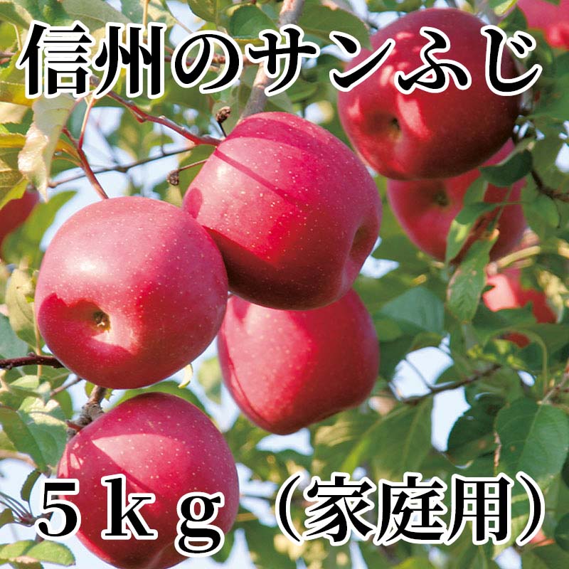 樹で熟した美味しいりんごをお届けします。りんご本来の甘さ、適度な酸味、ジューシーさが楽しめます。ご家庭用にどうぞ。【商品提供者コメント】 ●名称／りんご ●商品内容／5kg（11〜23個）　 ※外観にすれ傷等があります。 ●原産地／長野県　 ●原材料／●保存方法／●製造者名(加工業者名)／ 【キャンセルについて】 ●お申し込み後のキャンセルは、原則受け付けておりません。 【配送について】 ●こちらの商品は12月7日(月)〜2月10日(水)の期間内に順次お届けいたします。 また、常温便でのお届けとなります。あらかじめご了承下さい。 ※農産物、水産物等については天候、作柄状況により、商品のお届けが前後する場合がございます。あらかじめご了承ください。 ●年内お届けのご希望は、2026年12月15日（火）までにお申込みください。12月16日（水）以降は年内にお届けできない場合があります。 なお、年始の発送は2027年1月6日（水）からとなります。 ●お届けまでに祝日・大型連休・年末年始等をはさむ場合、お届けに日数がかかることがございます。あらかじめご了承ください。 ●お受け取り頂けない商品につきましては、再発送、ご返金、ポイントの返還は致しかねます。あらかじめご了承下さい。 【のし・について】 ●一部の商品はのしのご希望を承ります。 ※選択肢にないのしの種類はお選びいただけません。 ※名入れはお受けできません。 ※商品によっては「短冊のし」や「簡易のしシール」でお届けとなる場合がございます。 ※ゆうパケットでお届けする商品にはご指定できません。 ●「御歳暮のし」をご指定いただきました商品は、配達希望日のご指定がない場合は2026年12月1日（火）以降順次お届けいたします。 ※青果物等、配達期間限定の商品は「御歳暮のし」をご指定いただいても、12月1日（火）以前にお届けする場合がありますので、あらかじめご了承ください。 【配達不可地域について】 ●島しょ（東京都・鹿児島県・沖縄県）の一部へのお届けについては、生もの（消費・賞味期間5日以内）・生鮮品 （果物・野菜・活魚介類）の一部・冷凍品・生花（セット商品を含む）は受付ができませんのでご了承ください。 【その他ご注意】 ※表示価格（商品代金）には送料・消費税が含まれています。 ※商品画像はイメージです。「商品内容」として記載されていないものや「小道具類」はお届けする商品に含まれておりませんので、商品内容をお確かめの上、お申込みください。 ※消費・賞味期間5日以内の商品をお申込みの場合は、お届けが消費・賞味期限の最終日になることがありますのでご了承ください。 ※青果物のサイズ指定はできません。天候によりお届け期間が変更になる場合がございます。果物については種が入る場合もあります。 ※「消費期間」は製造(加工)日から安全に召し上がれる日まで、「賞味期間」は製造(加工)日から品質の保持が十分に可能な日までをそれぞれ期間で表示しています。お届け日からの期間を保証するものではありません。 ※複数の商品がセットになっている場合、最も短い期間を表示しています。なお、法律に基づく賞味（消費）期限については、各お届け商品に記載しています。 ※花卉・花弁の開花状態及び花色、リボン、ラッピング(包装)等は多少異なる場合があります。 ※商品のパッケージ・小物のデザインは変更になる場合があります。 ※複数商品の一括送付及び同時発送はできません。また、ご依頼主様とお届け先様が同じ場合、同日のお申込みであっても商品によりお届け日が異なる場合がございますので、あらかじめご了承ください。 ※天候や生育状況等により予定の時期よりもお届けが前後することがございます。その際は、早着・ 遅延のご案内、代替商品又は解約等のご案内をさせていただく場合がございます。 【季節の贈り物に】 お年賀 迎春 お正月 年末年始 バレンタイン ホワイトデー 卒業式 卒園式 入学式 入園式 母の日 父の日 御中元 お中元 暑中御見舞 残暑御見舞 敬老の日 ハロウィン クリスマス 冬ギフト お歳暮 御歳暮 【ちょっとした手土産・プレゼントに】 御祝 御礼 謝礼 御挨拶 粗品 お使い物 贈答品 ギフト プレゼント お土産 手土産 贈りもの 進物 お返し 【お祝い・お返しの品に】 引き出物 お祝い 内祝 結婚祝 結婚内祝 出産祝 出産内祝 引き菓子 快気祝 快気内祝 プチギフト 結婚引出物 七五三 卒業祝い 卒園祝い 入学祝い 入園祝い 進学内祝 入学内祝 寿 開店祝 開業祝 新築祝