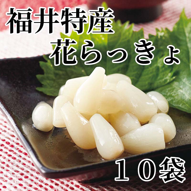 福井特産花らっきょ　10袋 送料込み ギフト プレゼント 贈答 お取り寄せ お土産 (...