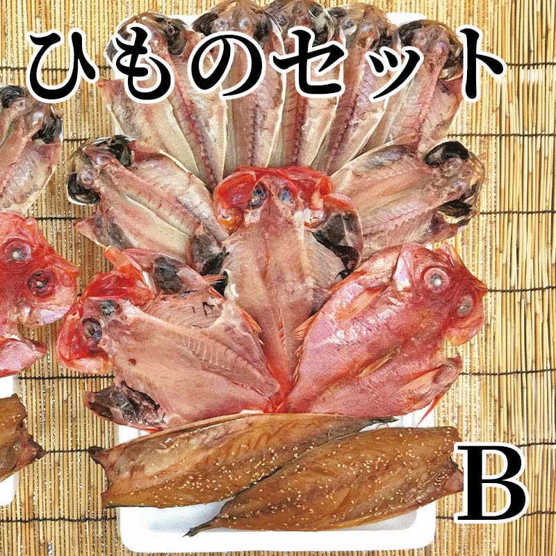 ひものセット　B 送料込み ギフト プレゼント 贈答 お取り寄せ お土産 (レビュー記入で300円OFFクーポン配布中)